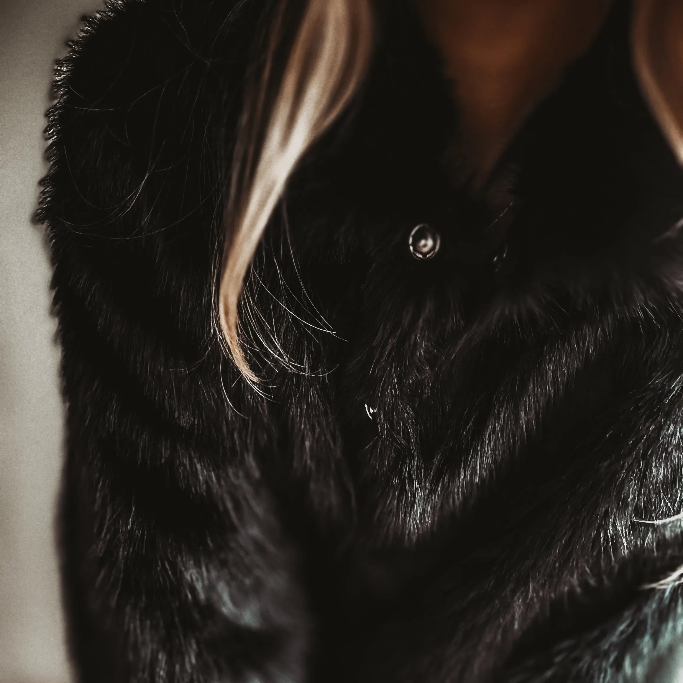 Faux fur BLACK jacket *NEW*